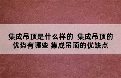 集成吊顶是什么样的  集成吊顶的优势有哪些 集成吊顶的优缺点